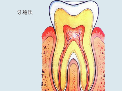 <b>什么是牙釉质</b>