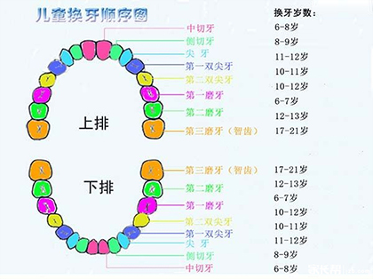 <b>什么是换牙期</b>