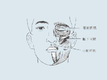 什么是颌周峰窝织炎