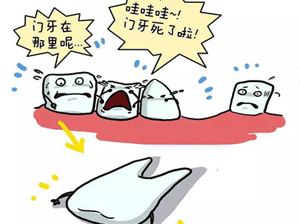 为什么儿童的大门牙容易受外伤？