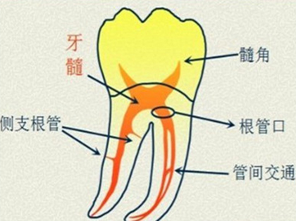 <b>根管治疗和补牙哪个好</b>