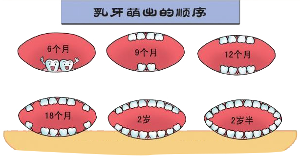 长牙2.png